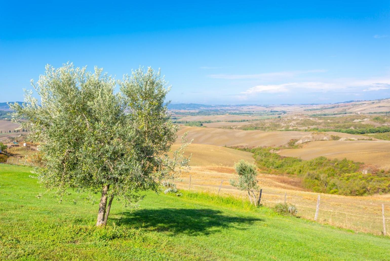 Villa Podere Belvedere Σιένα Εξωτερικό φωτογραφία